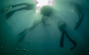 SSI Freediver course - Salt Aotearoa style Feb 28th-2nd March